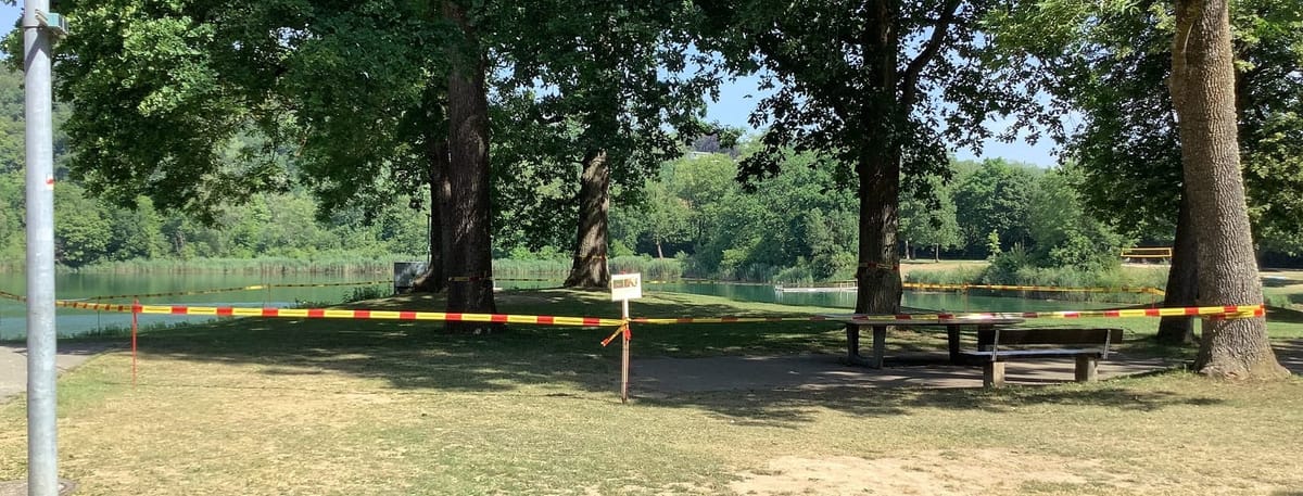 Eichenprozessionsspinner am Pfuhler See