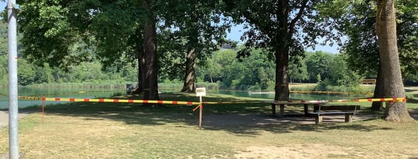 Eichenprozessionsspinner am Pfuhler See
